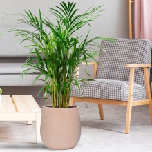 Кашпо Флоу Ваза 19л файберстоун, терракот 32х32см арт.FLOP32-TE по цене 