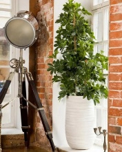 Кашпо Роу Высокое 13л 26х45см слоновая кость, файберстоун арт.ROWEV26-AW по цене 