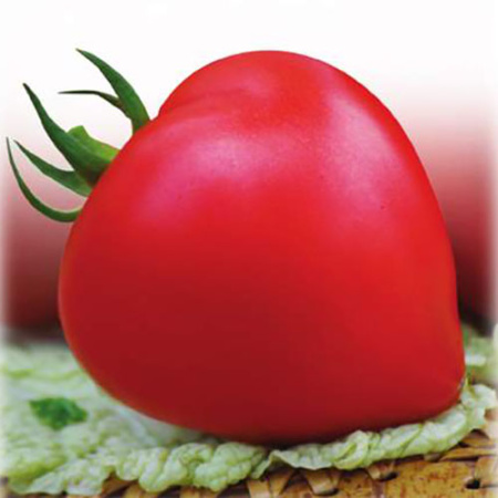 Семена томат Премиум F1, Поиск 