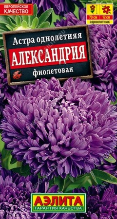 Семена астра александрия фиолетовая 0,1г Аэлита 