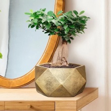 Кашпо Геометри Чаша 6л 30х15см золото, файберстоун арт.DBOWL30-GLD по цене 