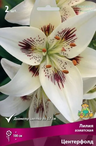 Луковица Лилия азиатская Центерфолд 3шт Поиск 