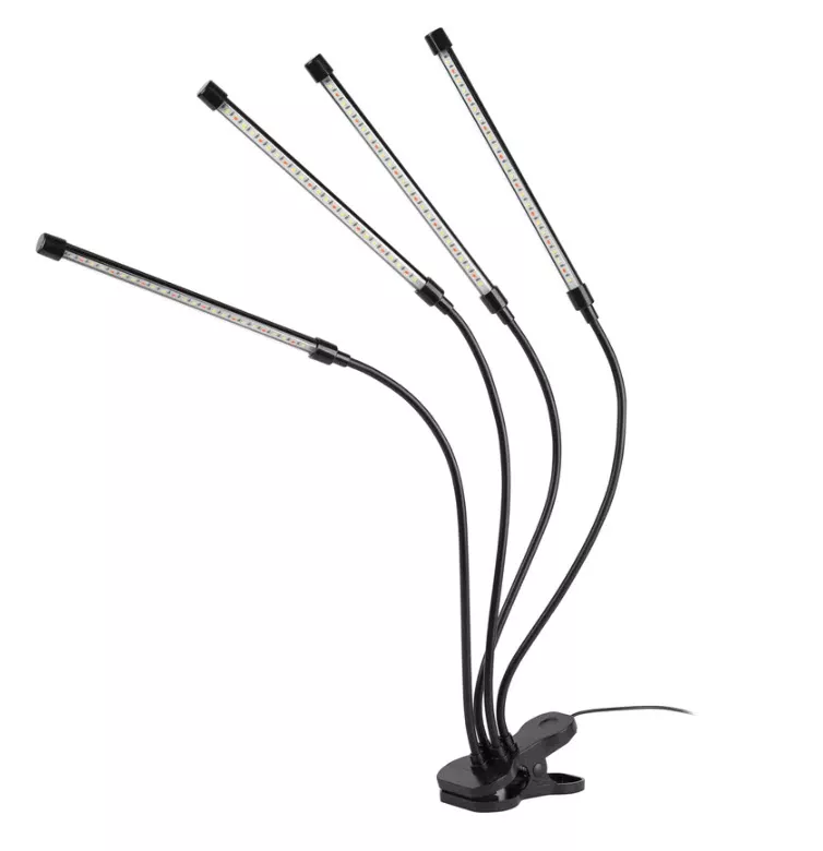 ОсновноеИзображение