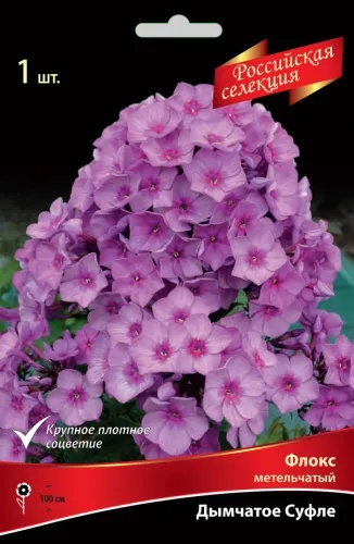 Флокс метельчатый "Российская селекция" Дымчатое Суфле I 1шт Поиск 