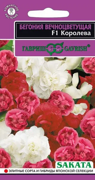 Семена Бегония Королева F1 вечноцв. махровая смесь, гранул. 4 шт. пробирка Гавриш 