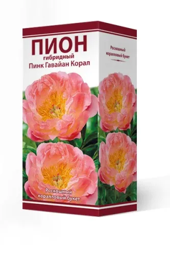Пион гибридный Пинк Гавайан Корал 2-3 1шт Поиск 