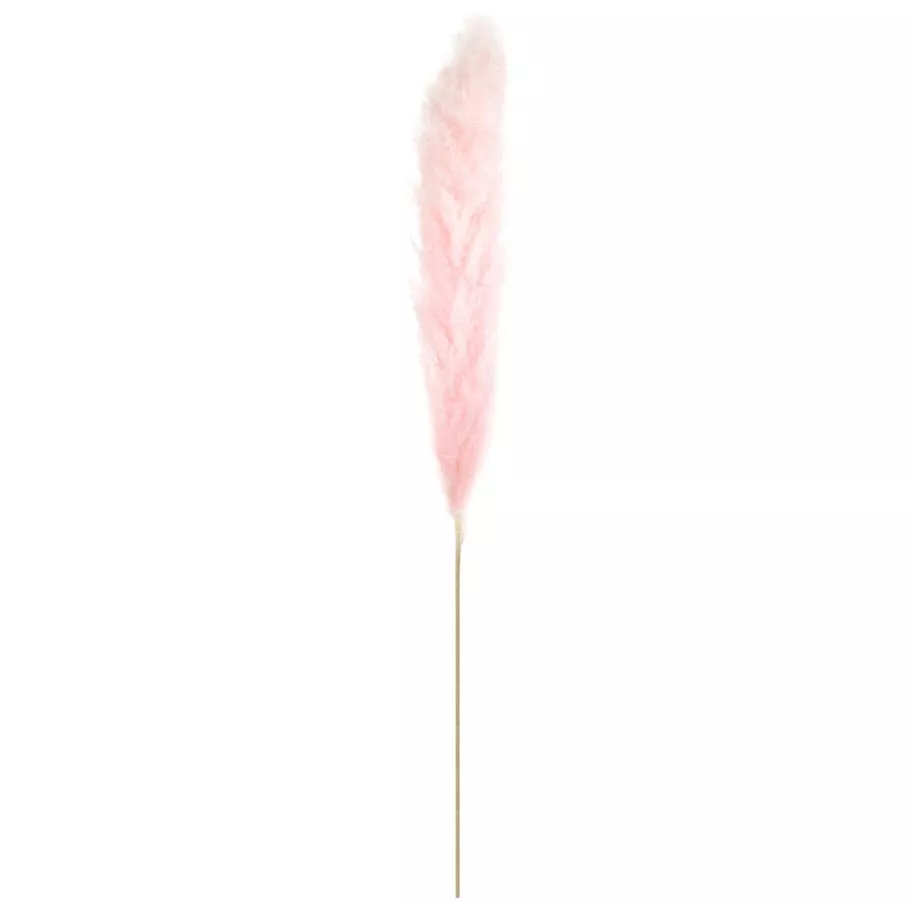 Сухоцветы трава Пампасная 120см, светло-розовый по цене 