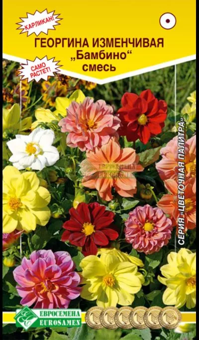 ОсновноеИзображение