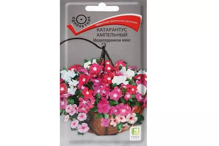 Семена Катарантус ампельный Медитерранеан Микс 10 шт  Поиск 