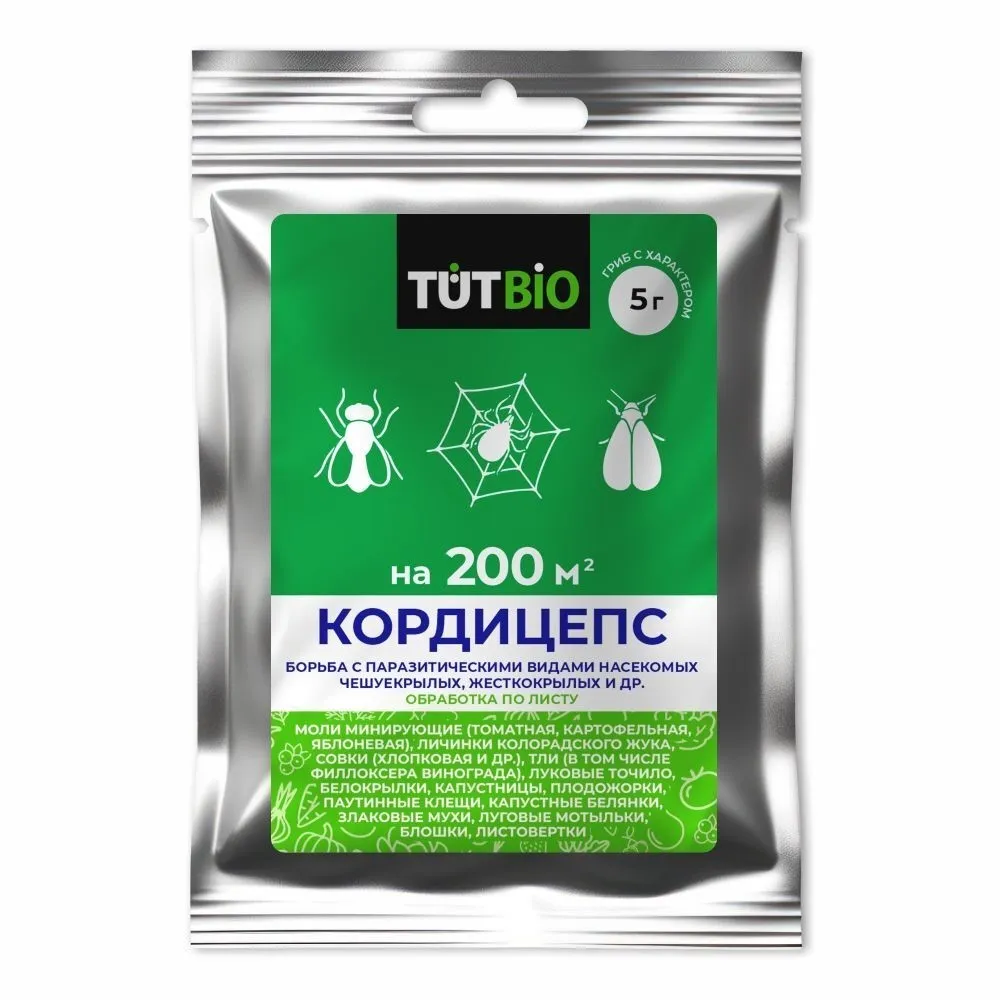 ОсновноеИзображение