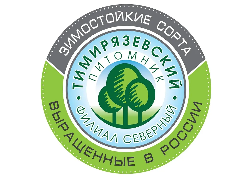 Крыжовник Хинномаки Грин зеленоплодный в коробке Tim 