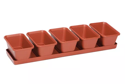 Мини-сад 5 горшков+поддон терракотовый 53см по цене 