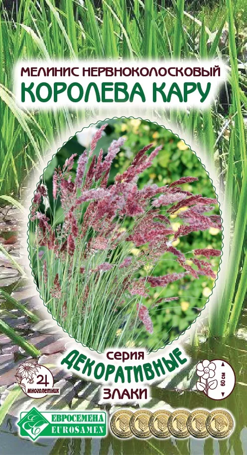 ОсновноеИзображение