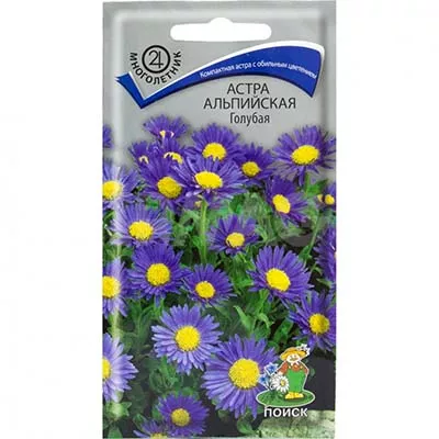 Семена Астра альпийская Голубая,0,04г Поиск 