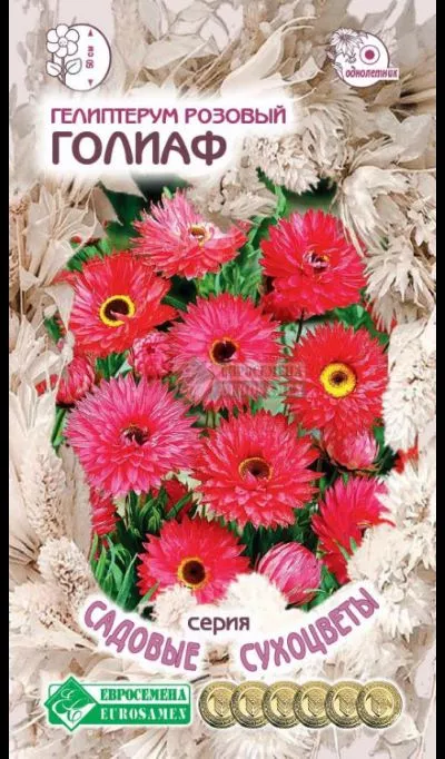 ОсновноеИзображение