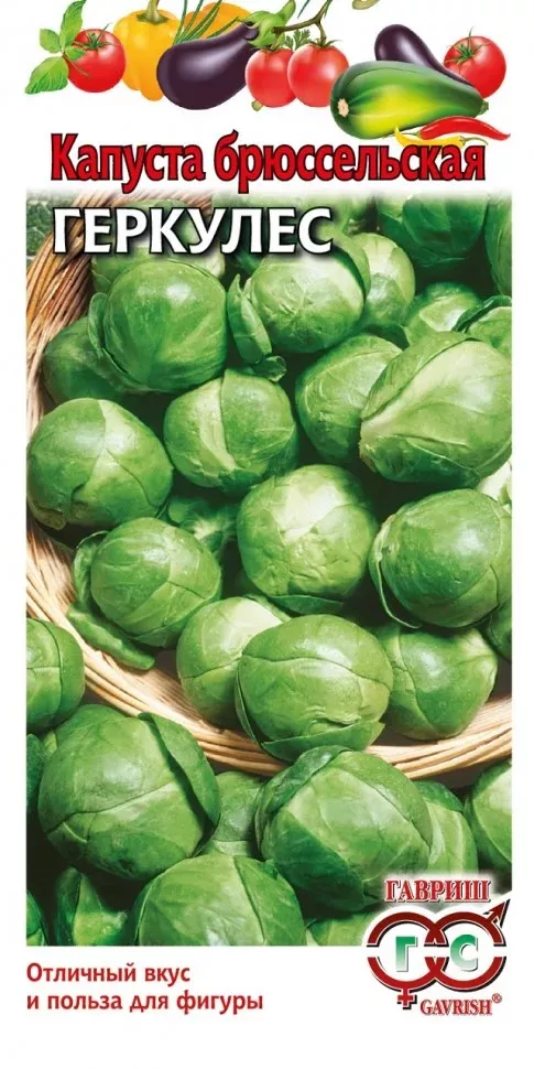 Семена Капуста брюссел. Геркулес 0,2 г, Гавриш 