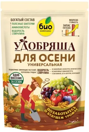 ОсновноеИзображение