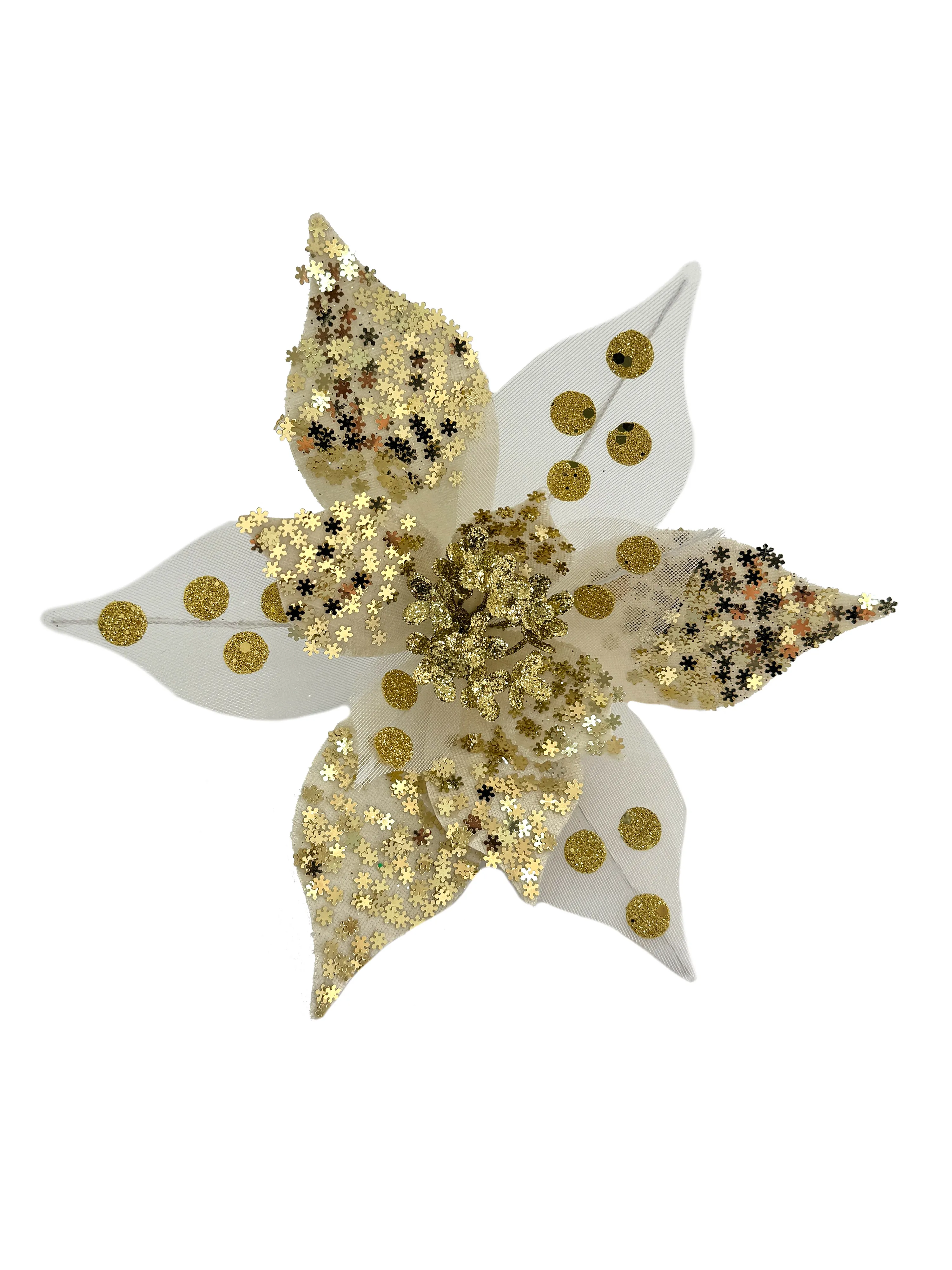 ОсновноеИзображение