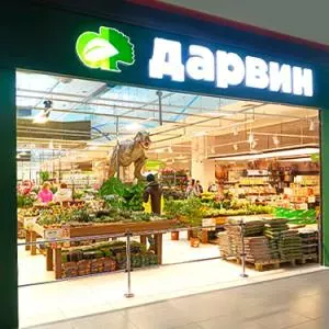 Дарвин Одинцово, Одинцовский г.о., р.п. Новоивановское, ул. Западная, д. 181