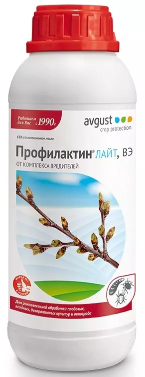 Основное изображение