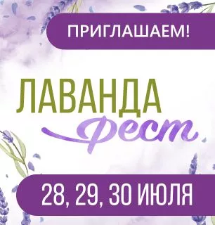 Впервые фестиваль лаванды в ДАРВИН!
