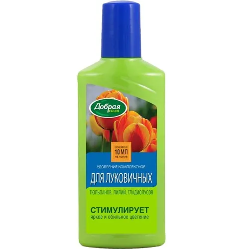 ОсновноеИзображение