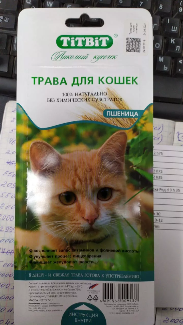 Трава для кошек пшеница, 50 гр по цене 