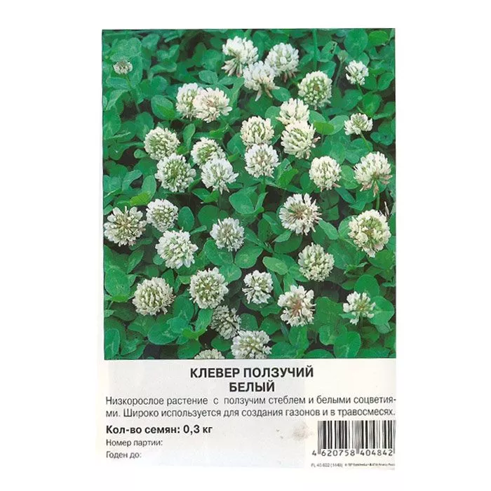 Сидерат клевер белый 300гр Престиж 