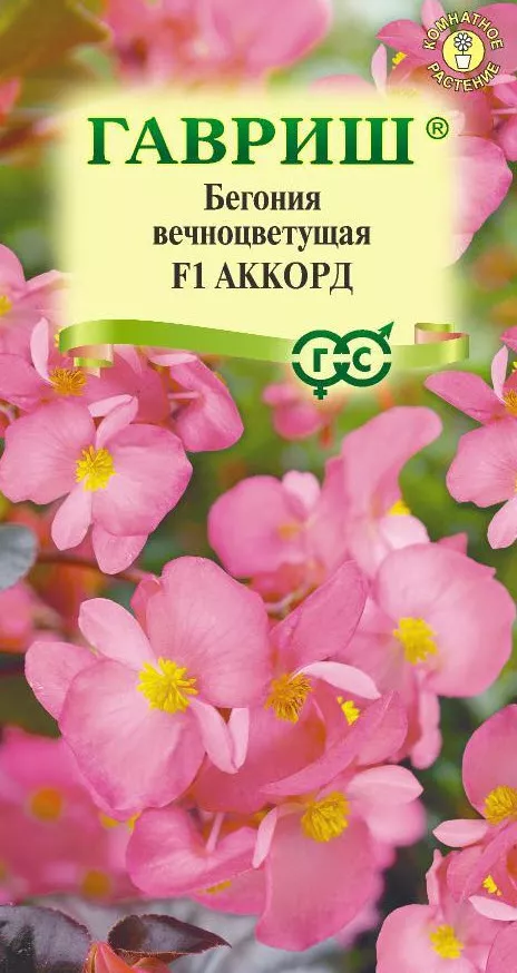 Семена Бегония Аккорд F1 вечноцв. гранул. 4 шт. пробирка Гавриш 
