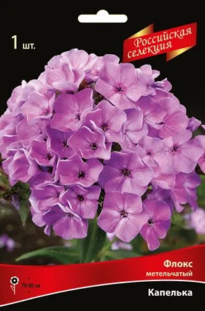 Флокс метельчатый "Российская селекция" Капелька I 1шт Поиск 