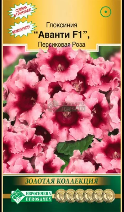 ОсновноеИзображение