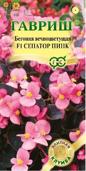 Семена Сенатор Пинк F1 вечноцв. 4 шт. пробирка  Гавриш 