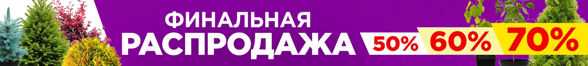 Финальная распродажа