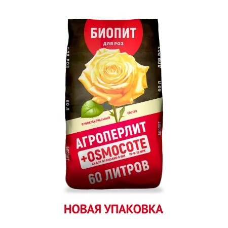 ОсновноеИзображение