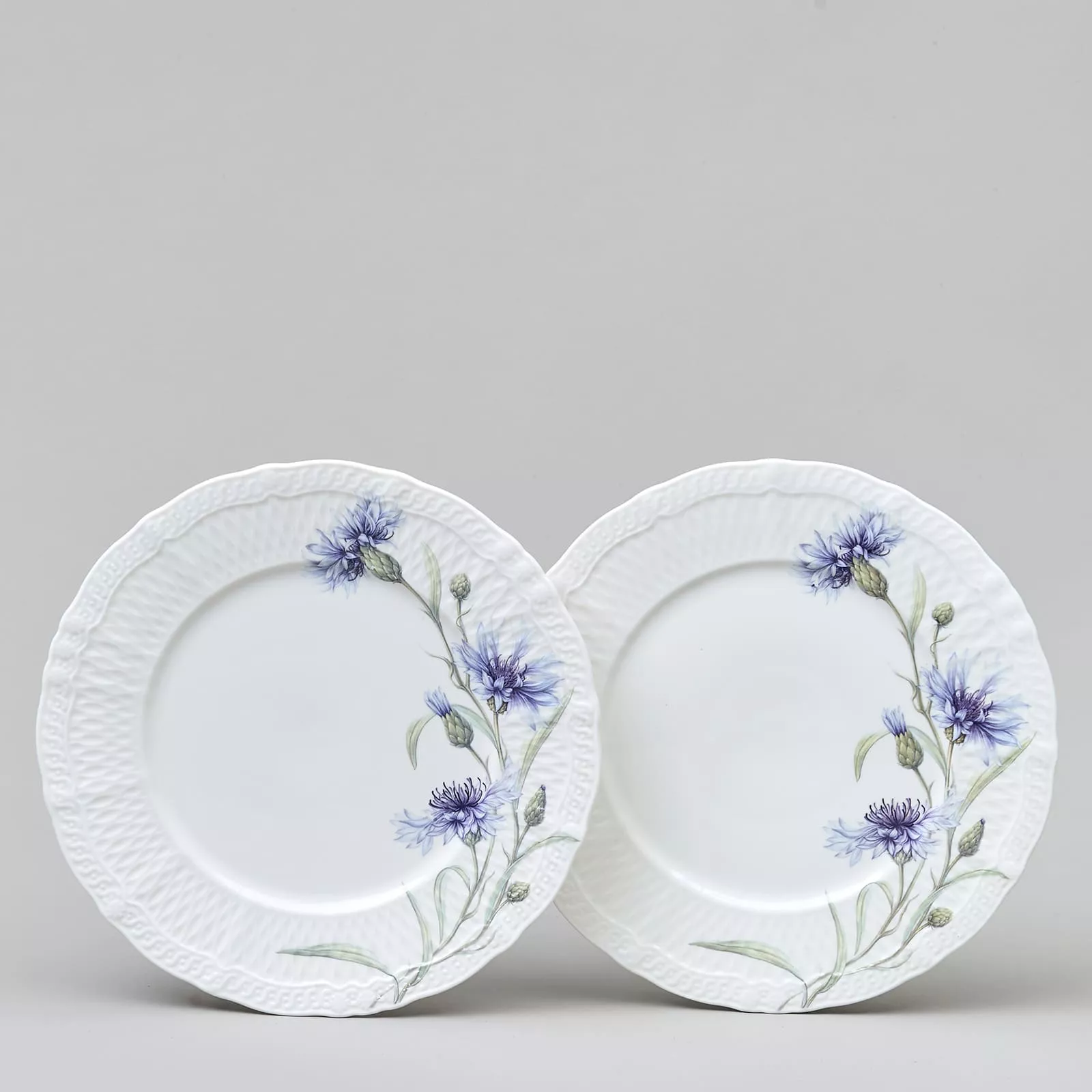 Набор тарелок закусочных Лефард Васильки 2шт 20,5см, фарфор арт.760-830 по цене 
