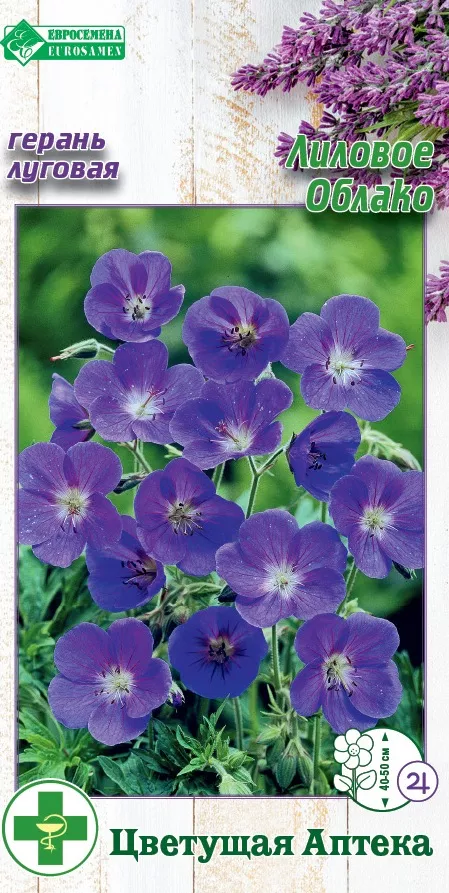 ОсновноеИзображение