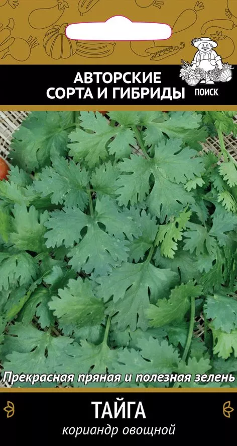 Основное изображение