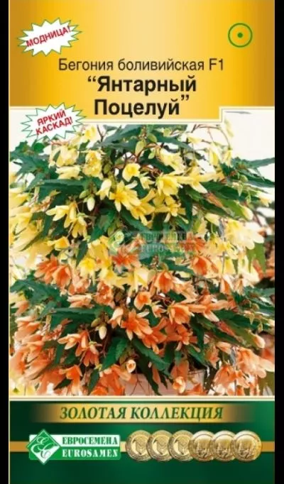 ОсновноеИзображение