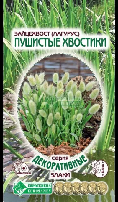 ОсновноеИзображение