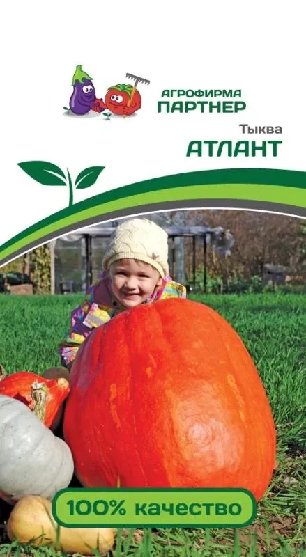 Семена Тыква Атлант 10 шт. Партнер 