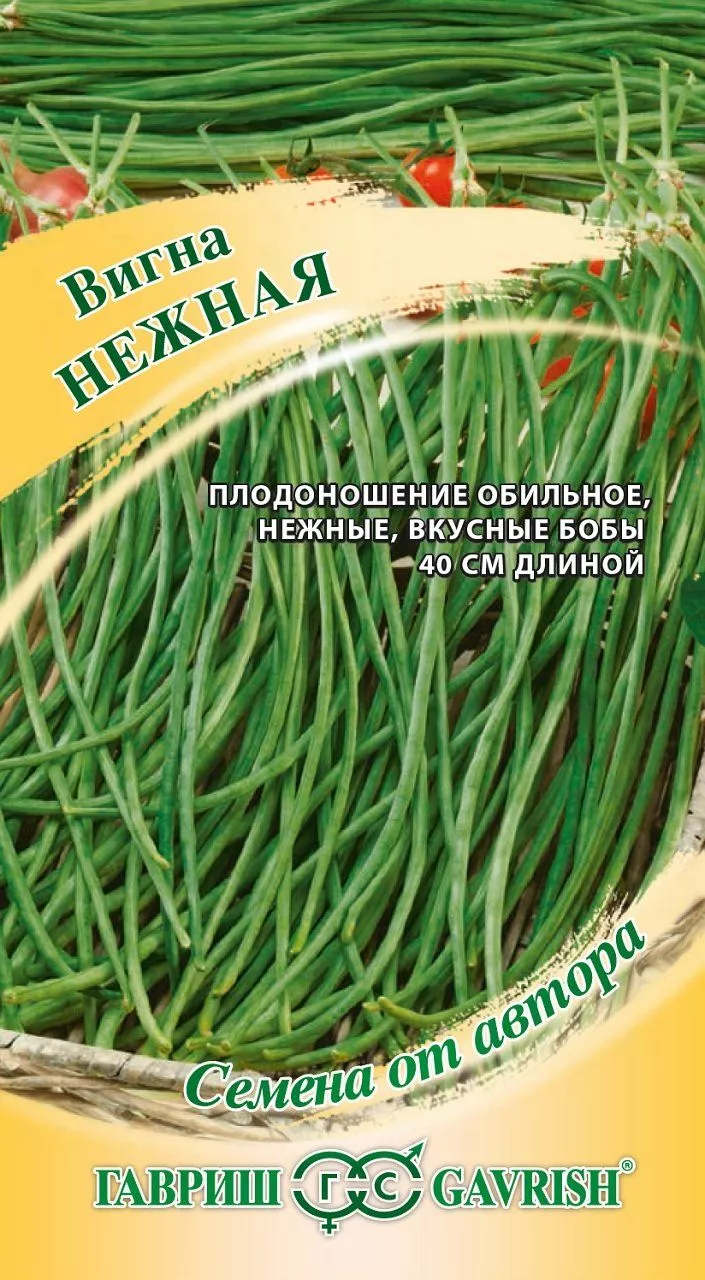 Семена вигна Нежная, авторские 10шт Гавриш 