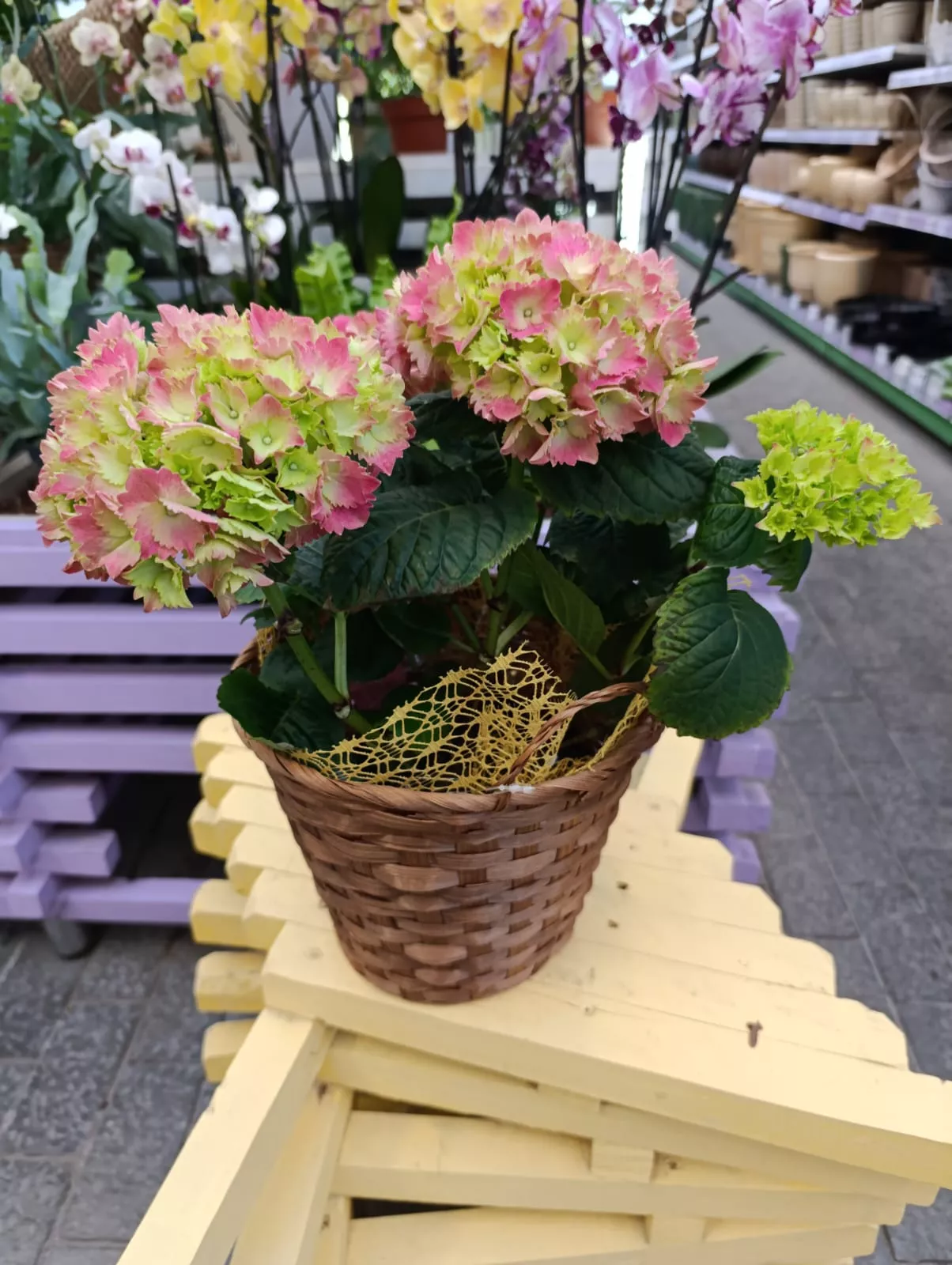 Композиция из цветов 1990 руб 