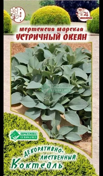 ОсновноеИзображение