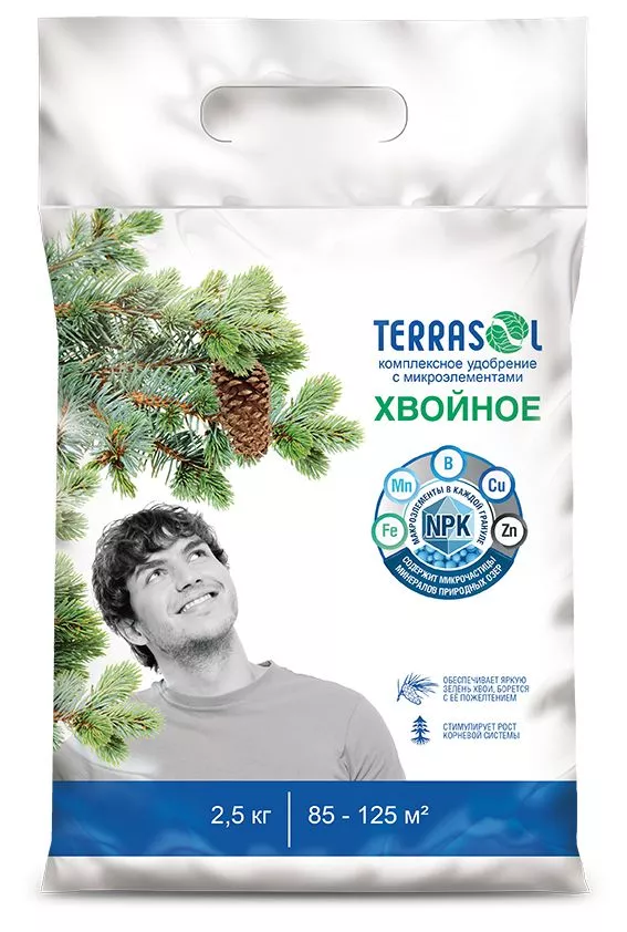 Основное изображение