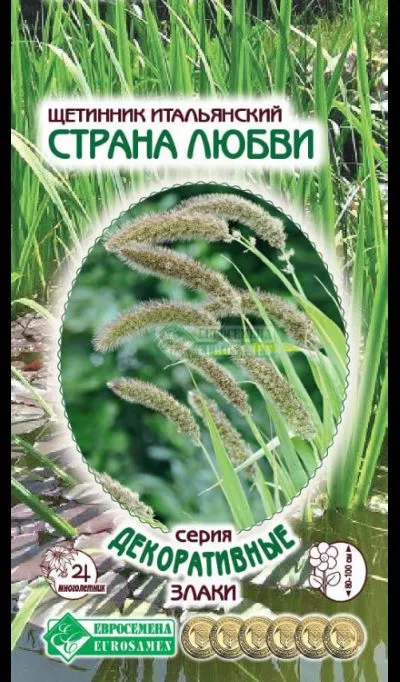 ОсновноеИзображение