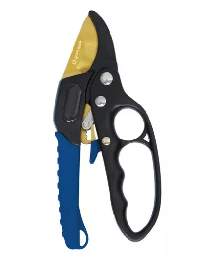 ОсновноеИзображение