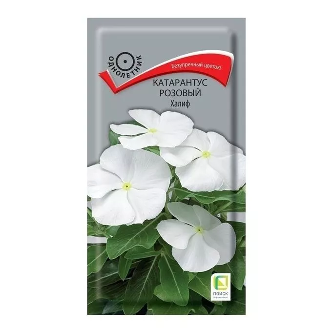 Семена Катарантус розовый Халиф  0,1 гр Поиск 