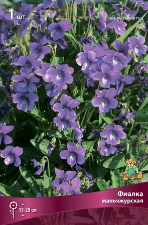 ОсновноеИзображение