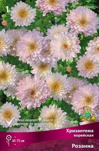 ОсновноеИзображение