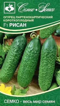 Семена Огурец партенокарпический Рисан F1 5 шт Семко 